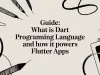 Guide: what is dart programming language and how it powers Flutter apps