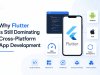 Why Flutter Is Still Dominating Cross-Platform App Development