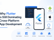 Why Flutter Is Still Dominating Cross-Platform App Development